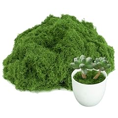 Fake moss plants for sale  Delivered anywhere in USA 