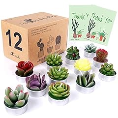 Aixiang 12pcs cactus for sale  Delivered anywhere in USA 