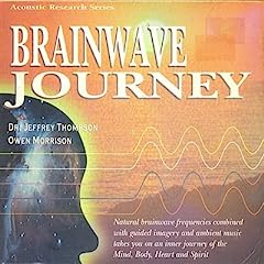 Brainwave journey gebraucht kaufen  Wird an jeden Ort in Deutschland