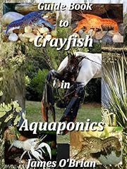 Guide book crayfish for sale  Delivered anywhere in USA 