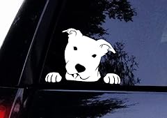 Pitbull decal peeking for sale  Delivered anywhere in USA 