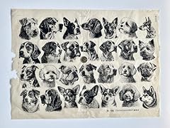 Fur friends for sale  Delivered anywhere in USA 