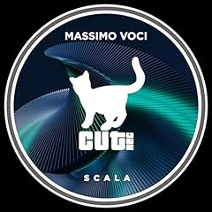 Scala usato  Spedito ovunque in Italia 