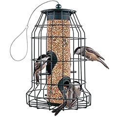 Squirrel resistant bird for sale  Delivered anywhere in USA 