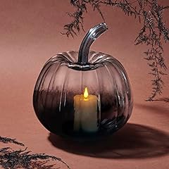 Lamplust black pumpkin for sale  Delivered anywhere in USA 