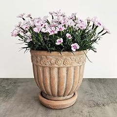 Wavy studio rustic for sale  Delivered anywhere in USA 