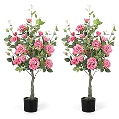 Romantic season 2pack for sale  Delivered anywhere in USA 