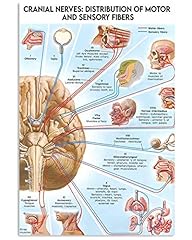 Bioprocess poster con usato  Spedito ovunque in Italia 