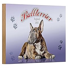 Targa legno bullterrier usato  Spedito ovunque in Italia 
