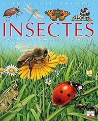 Insectes faire connaître d'occasion  Livré partout en France