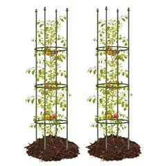 Joyhalo pack tomato for sale  Delivered anywhere in USA 