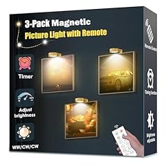Pack picture light for sale  Delivered anywhere in USA 