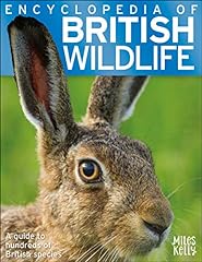 Encyclopedia of British Wildlife – Identification Guide for sale  Delivered anywhere in UK