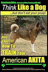 American akita american for sale  Delivered anywhere in USA 