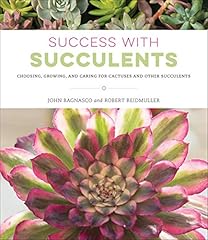 Success succulents choosing for sale  Delivered anywhere in USA 