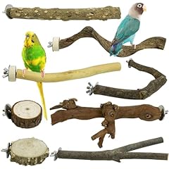 Pinvnby pcs bird for sale  Delivered anywhere in USA 