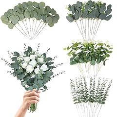 Magean eucalyptus leaves for sale  Delivered anywhere in USA 