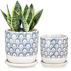 Ceramic planter pots for sale  Delivered anywhere in USA 