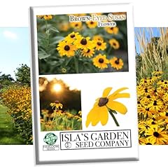 Brown eyed susan for sale  Delivered anywhere in USA 