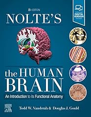 Nolte human brain for sale  Delivered anywhere in UK