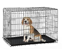 Inch medium dog for sale  Delivered anywhere in USA 