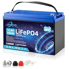 Lifepo4 100ah 12v usato  Spedito ovunque in Italia 