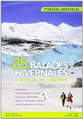 Balades hivernales pyrenees d'occasion  Livré partout en France