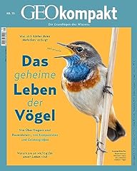 Geokompakt geokompakt 2023 gebraucht kaufen  Wird an jeden Ort in Deutschland