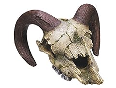 Nobby ram skull for sale  Delivered anywhere in UK