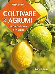 Coltivare gli agrumi usato  Spedito ovunque in Italia 