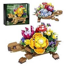 Sea turtle succulent for sale  Delivered anywhere in USA 