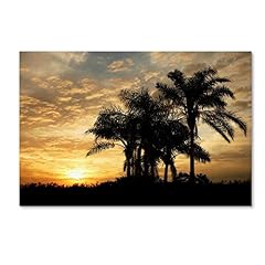 Everglades sunrise mike for sale  Delivered anywhere in USA 