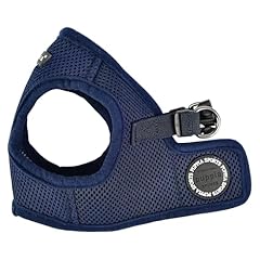 chiots berger australien bleu d'occasion chiots berger australien bleu d'occasion Livré partout en France