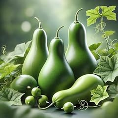 22day seeds seeds for sale  Delivered anywhere in USA 