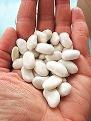 Haricot tarbais bean for sale  Delivered anywhere in USA 