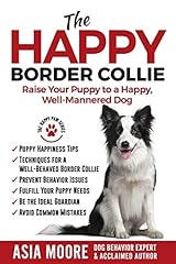 Happy border collie for sale  Delivered anywhere in UK