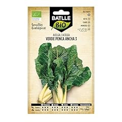 Graines biologiques bette d'occasion  Livré partout en France