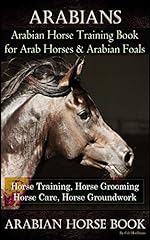 Arabians arabian horse for sale  Delivered anywhere in USA 