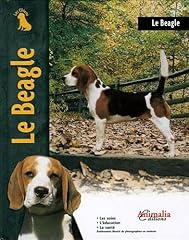 Beagle d'occasion  Livré partout en Belgiqu