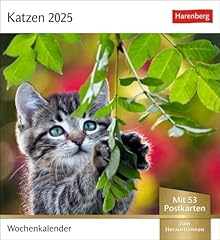Katzen postkartenkalender 2025 gebraucht kaufen  Wird an jeden Ort in Deutschland