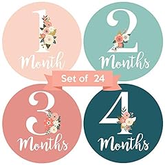 Baby monthly stickers for sale  Delivered anywhere in USA 