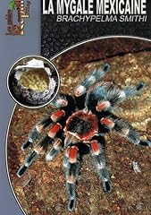 Mygale mexicaine brachypelma d'occasion  Livré partout en France