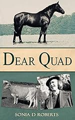 Dear quad d'occasion  Livré partout en France