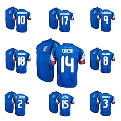 Zeroplayer figc italia usato  Spedito ovunque in Italia 