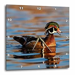 Rose wood ducks for sale  Delivered anywhere in USA 