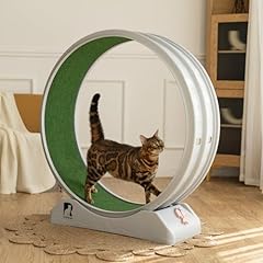 Cat exercise wheel for sale  Delivered anywhere in USA 