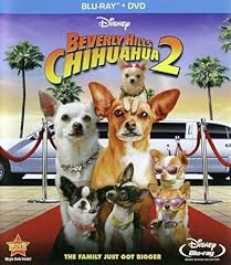 Chihuahua for sale  Delivered anywhere in USA 