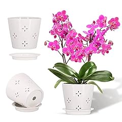 Larini ceramic orchid for sale  Delivered anywhere in USA 