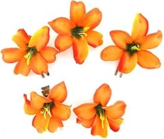 Tropical orange lily for sale  Delivered anywhere in USA 