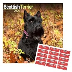 Scottish terrier calendar for sale  Delivered anywhere in UK